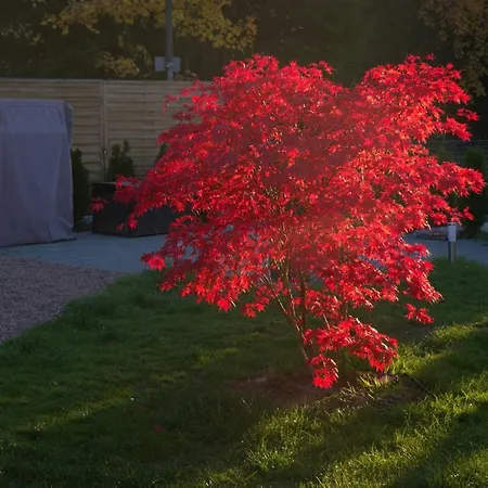 Lejlighed Haus Zeier *