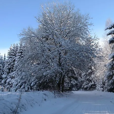 Lejlighed Haus Zeier