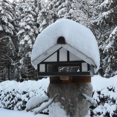 Haus Zeier Lejlighed