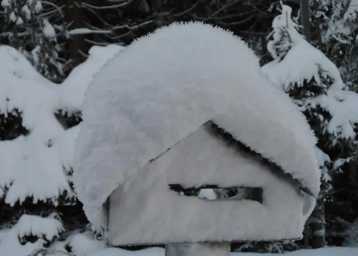 Haus Zeier 戈斯拉尔