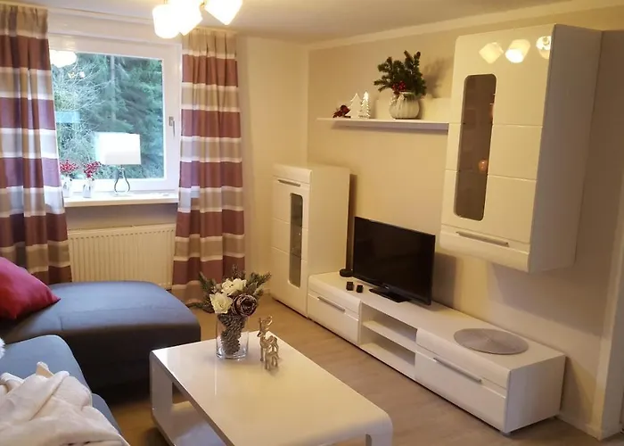 公寓 Haus Zeier 戈斯拉尔