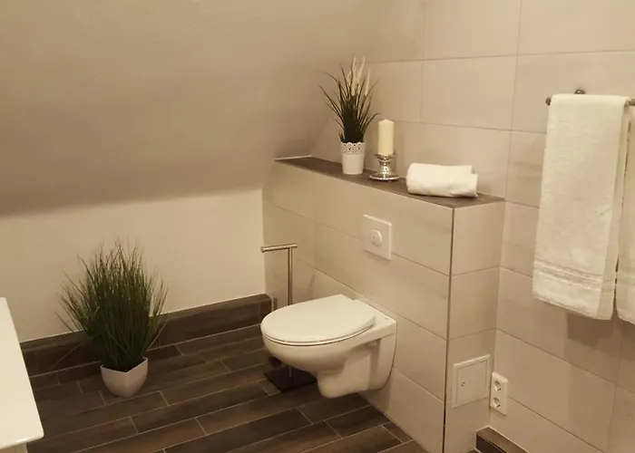 Haus Zeier 公寓 戈斯拉尔