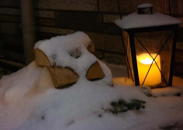 Haus Zeier 戈斯拉尔