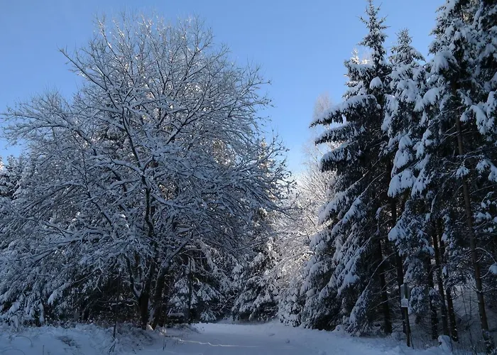 Haus Zeier * 戈斯拉尔